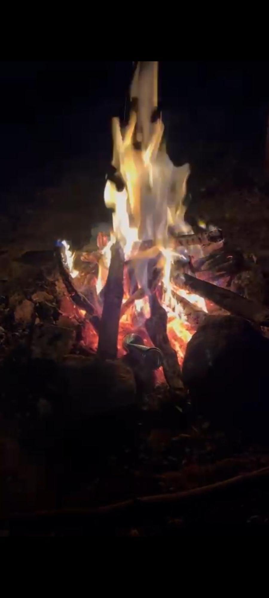 فيلا Cozy Huts كوديكانال المظهر الخارجي الصورة
